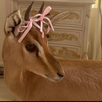 tii19_'s profile picture. https://t.co/90YhPsdn2l .