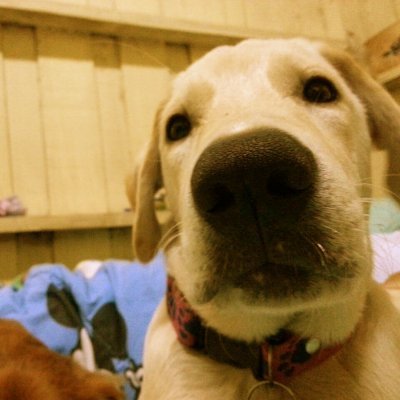 deny_cipher's profile picture. INFP-T. all for one , one for all , object-oriented