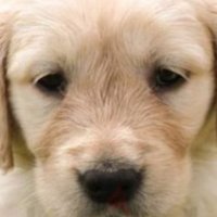 Ahmed (@emiratichub) Twitter profile photo