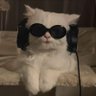 inmycardigan13's profile picture. Toronto N4 ✨️ & Vienna N1 ❤️‍🩹