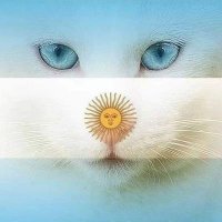 molly 💛 (@mollyromero) 's Twitter Profile Photo