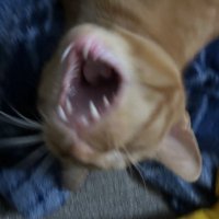 Worms (@woormsy) 's Twitter Profile
