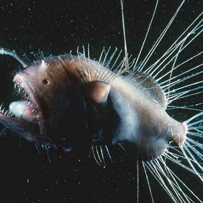 rainstorm0725's profile picture. 18 :þ