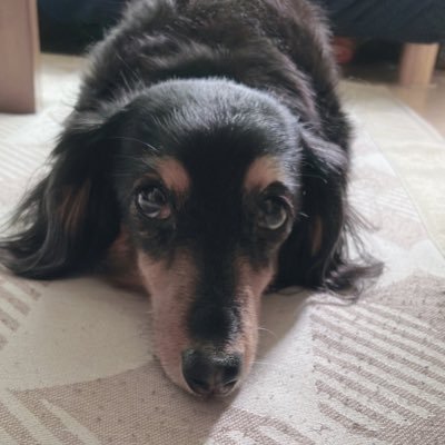 45leaf's profile picture. 海が好き、音楽が好き、本を読むのが好き。