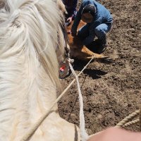 husker cattleman (@husker_cattle) 's Twitter Profile