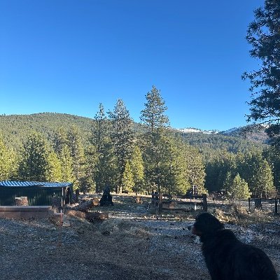 mollydtr's profile picture. 