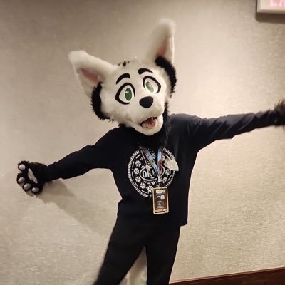 Fursuit Dancer in the making!!!/ He/Him/ Straight/ MFF here we come!