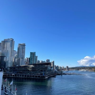 shota_a1013's profile picture. 青山学院大学経営学部経営学科1年 青学AIサークル代表 Google AI Student Lead Ambassador