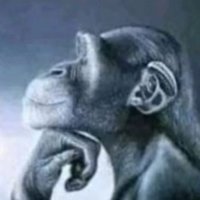DavidBomb24 (@davidbomb24) 's Twitter Profile