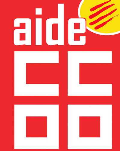 Secció Sindical de CCOO a ServiAide Asistencia, empresa del Grup Zurich Assegurances