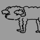 Lunaria Profile