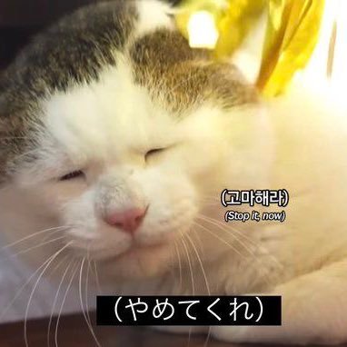 GdetB0's profile picture. 大原🅾️日商一級🎉全経上級🎉R7I短答🎉 鍵垢でフォロー通してくれない人はブロックしてます