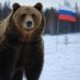 🇷🇺Алексей (@chudakh) Twitter profile photo 🇷🇺Алексей (@chudakh) Twitter profile photo