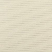 m🇳🇿 (@curious25255) 's Twitter Profile