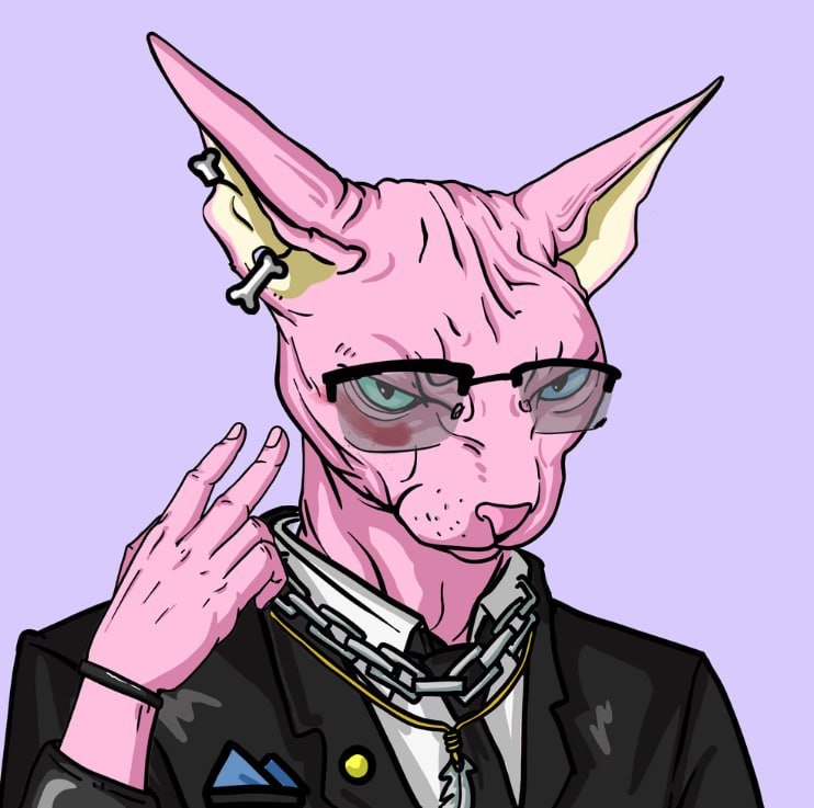 slamfeanor01's profile picture. $BTC $ETH $BUSD $USDT $BNB $SOLANA $SHEESH