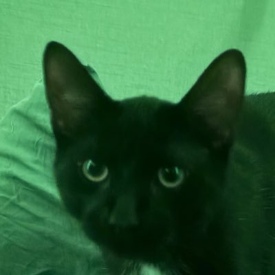 mclovinwyd's profile picture. 