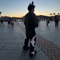 あむ (@t2f_ayu) Twitter profile photo