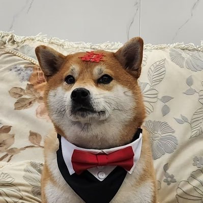 wng111105's profile picture. 