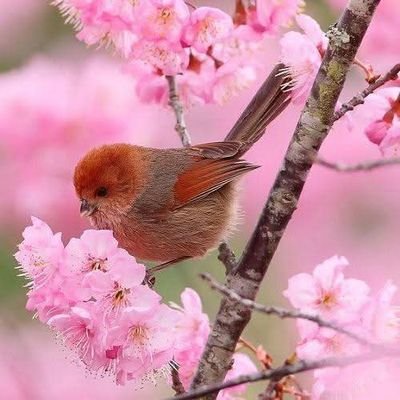 بعدی عمر آشنایی آشنایت نیستم خوب من دگر شریک لحظه هایت نیستم حرف راگوتاه کن با علتی دگر بخنده چون پس از این من دلیل خنده هایت نیستم