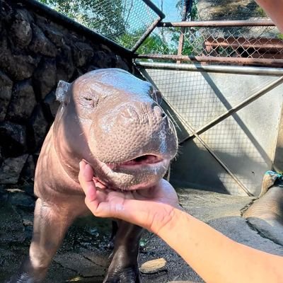 bmagnifique_'s profile picture. @b_hundred_hyun @weareoneEXO Full-Time EXO-L ❤