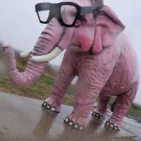 Study Bitcoin (@study42008) 's Twitter Profile
