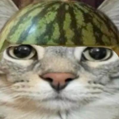 Moykkymorko's profile picture. Hyvä jossakin, huono kaikessa muussa