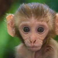 GülümseHayata (@yasemin52680250) 's Twitter Profile Photo