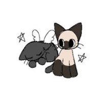 無味 (@81fhx) Twitter profile photo