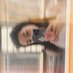 🫶🏻 (@xirlyar) Twitter profile photo 🫶🏻 (@xirlyar) Twitter profile photo