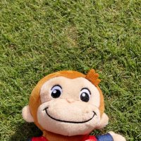 みーぷ🎏 (@carp_miip) 's Twitter Profile
