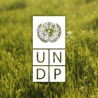 UNDP Uzbekistan 🇺🇿 (@undp_uzbekistan) 's Twitter Profile