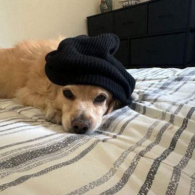 Ashkan01628193's profile picture. 