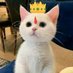 Billiam 👑 (@___galactus) Twitter profile photo Billiam 👑 (@___galactus) Twitter profile photo