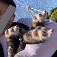 3匹のパパ (@magic__fiower) Twitter profile photo