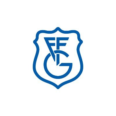 Gipuzkoako Futbol Federazioaren kontu ofiziala - Cuenta oficial de la Federación Guipuzcoana de Fútbol