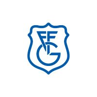 Gipuzkoako Futbol Federazioa (@gipuzkoafutbola) 's Twitter Profile