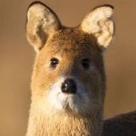 monoreore's profile picture. 