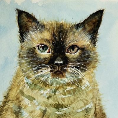 TOO山 (@nlk03) / Posts / X