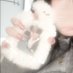 てた (@amam2123974) Twitter profile photo てた (@amam2123974) Twitter profile photo