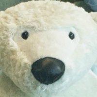 ぱんのき (@pannoki3373) Twitter profile photo