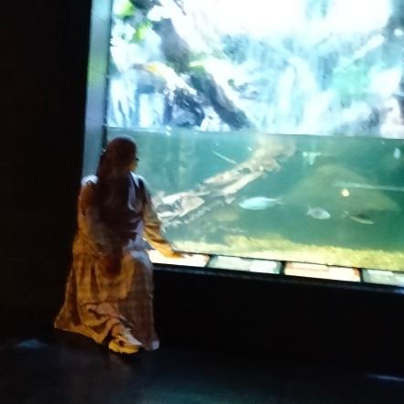 almahsuni04's profile picture. 