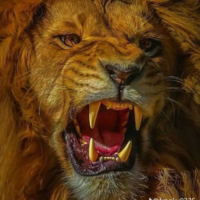 Vincent23400649's profile picture. more vibes..less ego✌️