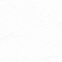しき (@shunkashuto21) 's Twitter Profile