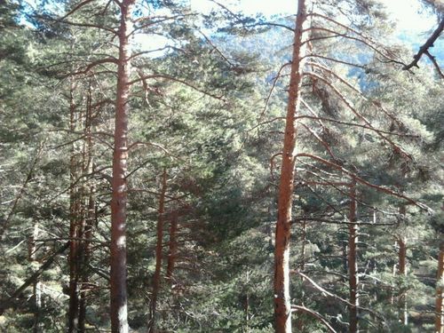 cgarciaru's profile picture. 