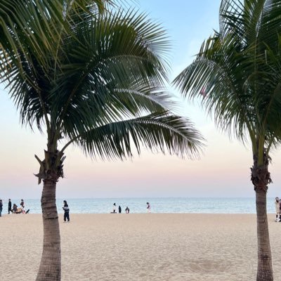 Find3616361's profile picture. 上海杨浦 23-175-78-0.5微m qq：2100075986