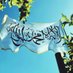 waad (@wrh01a) Twitter profile photo waad (@wrh01a) Twitter profile photo