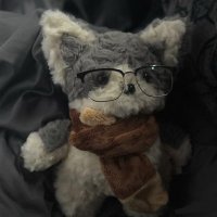 贺秋莘 (@heqiushen) 's Twitter Profile Photo