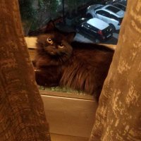 Fatima Zohra Khan (@fatima_z0hra) 's Twitter Profile Photo Fatima Zohra Khan (@fatima_z0hra) 's Twitter Profile Photo