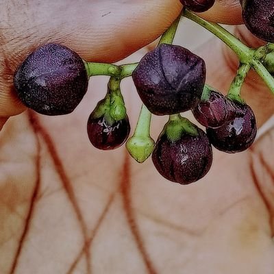 anastesia_anne's profile picture. I love my new Identity