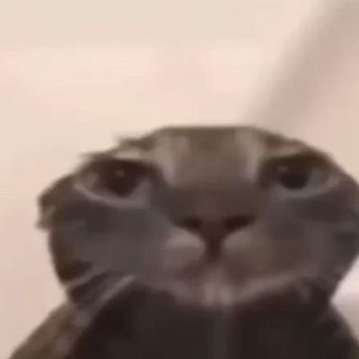 hahahihhuhehoho's profile picture. semoga kuat sampe tamat
kalo ga tamat-tamat ak yang tamat